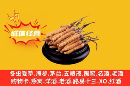 淳化县回收冬虫夏草